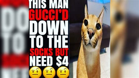 i dont fuck with no snakes this is gucci down|gucci down to the socks but need 4.